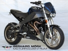 Weitere Informationen zu: BUELL XB12X Ulysses GM-Special