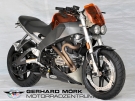 Weitere Informationen zu: BUELL XB12Ss long GM-Special
