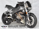 Weitere Informationen zu: BUELL XB12Ss Dark GM-Special