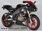 Weitere Informationen zu: BUELL XB12R Firebolt 25th Anniversary Edition
